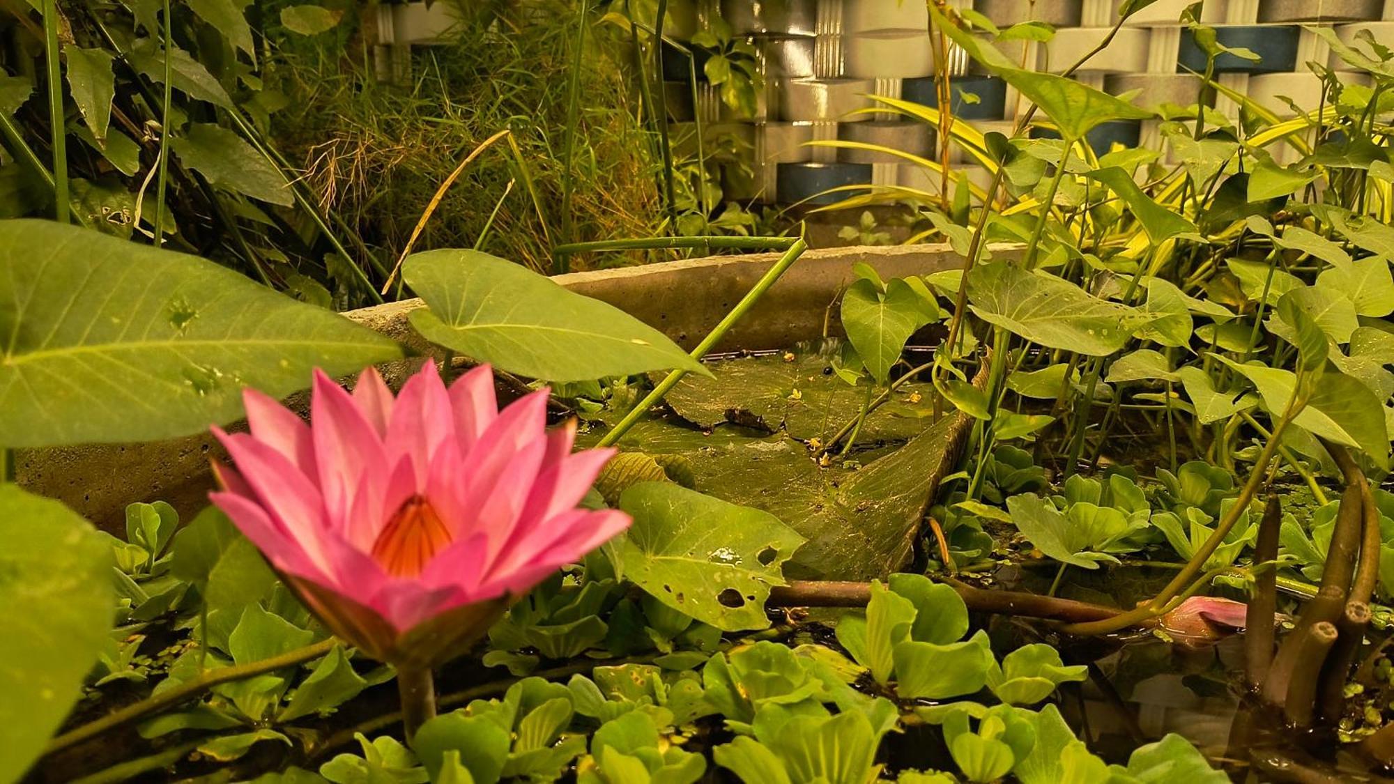 Gt Guest House Virampattinam Bagian luar foto